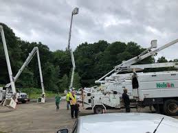 We did not find results for: Ibew Local 1919 Tree Trimmers Training
