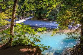 Indian bar trail (14.5 mi/23.3 km roundtrip) 7 Best Hikes In Mt Rainier National Park Small Town Washington
