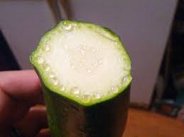 So here are some key tips to better your chances of picking the ripe ones. Why Is My Zucchini Oozing Askculinary