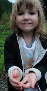 Ecological Stewardship