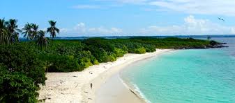 Isla Iguana Panama | Isla Iguana