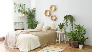 Sự thật về trồng cây trong phòng ngủ bạn nên biết - Green living