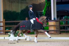 Turns an unsecure link into an anonymous one! Winner Ponys Shona Benner With Der Kleine Sunnyboy We Belgium Dressage Events