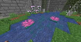 Welcome to the new coralwatch ambassadors! Add Brain Coral Fans To Warped Trapdoors To Create Flowering Lilypads Detailcraft Lily Pads Minecraft Decorations Minecraft Designs