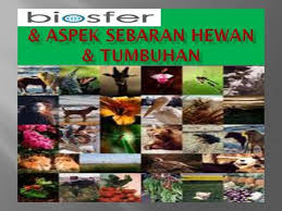 Cagar alam ujung kulon, cagar alam way kambas, dan sebagainya. 1 Bab Sebaran Flora Dan Fauna Di Indonesia Dan Dunia Ppt Download