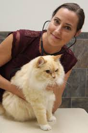 Check spelling or type a new query. Ashley Four Paws Animal Hospital