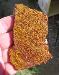 Zsold Coquina Jasper Slab Cobra Jasper Script Stone 87x