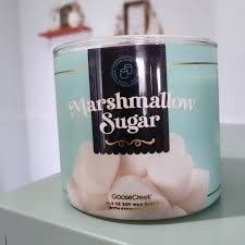 Chelsea Van Tol (@chelseapapercakes) • Threads, Say more