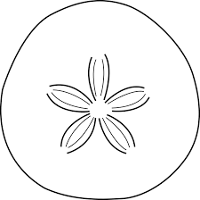 We found that adding glue to the front of the burlap took out some of the wrinkles. Download Fossil Clipart Leaf Sand Dollar Black And White Png Image With No Background Pngkey Com