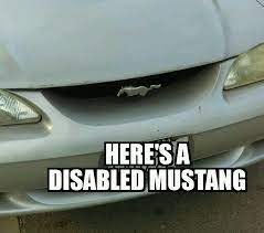 A New Mustang Meme That Doesn T Have To Do With Crouds