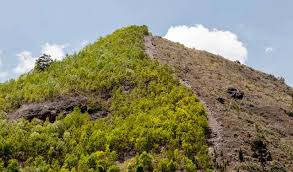 Haiti, officially the republic of haiti, and formerly known as hayti, is a country located on the island of hispaniola in the greater antill. Mehr Uber Haiti Erfahren Welthungerhilfe