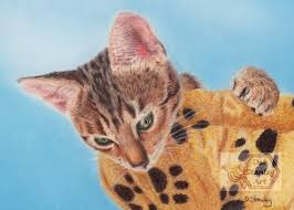 Animals Artwork And Coloured Pencil Drawings