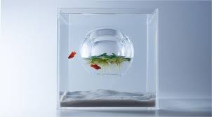 Design Vanilla Fish Tank Design Waterscape Fish Tank