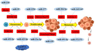 Cancer that starts in the flat cells on the outer surface of the skin. Diagnostic And Therapeutic Role Of Micrornas In Oral Cancer Review