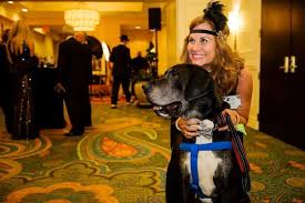 PET HELPERS 2019 ANNUAL REPORT