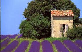 Epingle Sur Provence Et Cote D Azur