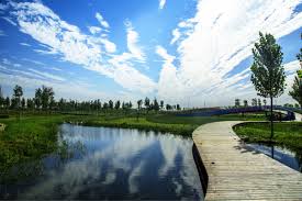 Открыто до 17:00 (показать больше). A Resilient Design For Weiliu Wetland Park