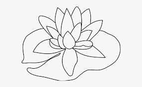 Water Lily Clipart Lillypad Lily Pad To Draw Free Transparent Clipart Clipartkey All of a sudden, drawing a calla lily sounds a little bit easier!