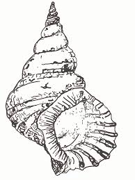 Apr 16, 2021 · seashell connect the dots printable: Free Printable Seashell Coloring Pages For Kids