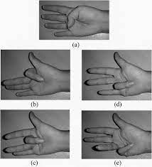 Used to point at someone 3. Finger Positioning A Thumb B Index Finger C Middle Finger D Download Scientific Diagram