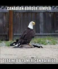Canadian Geese Are A Plague Upon This Nation Meme By Austinturrill Memedroid