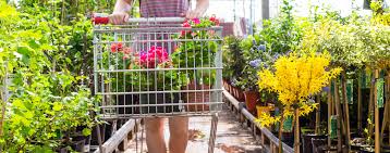 Suchen sie nach einem fachhändler vor ort für zimmerpflanzen, blumen und pflanzen für den garten. Dehner Setzt Auf Online Bestellterminals Im Gartencenter
