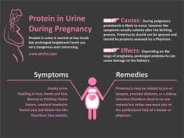 Foamy Urine Causes And Remedies