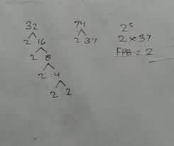 Maka jarak sebenar nya kota x dan y adalah. Faktor Persekutuan Dari 32 Dan 74 Apasih Cepetan Mau Ngerjain Pr Nih Brainly Co Id