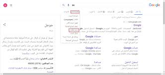 كيف يمكن اعتماد البحث المتقدم في محرك جوجل سؤال وجواب Google Language Bullet Journal