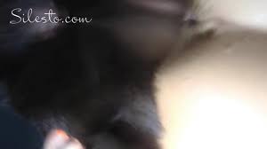 night party , veronica silesto - Video de Zoofilia - ZoofiliaVids