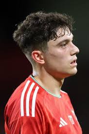 Rob Page Manager Wales Editorial Stock Photo