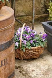 Epingle Par Lise Pigeon Sur Jardins Pot De Fleurs Fleur Jardin Belles Fleurs