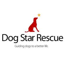 Learn more about spotty dog rescue, inc in waterbury, ct, and search the available pets they have up for adoption on petfinder. Connecticut Dog And Cat Rescues Ct Dog Walking And Pet Sitting Rco Pet Care Also Serving Oxford Southbury And Watertown Areas