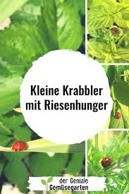 Kleine Krabbler Mit Riesenhunger Pflanzen Schadlinge Im Garten Gemusegarten Anlegen