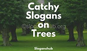 These will provide inspiration and get you thinking about the beauty of nature that surrounds you! 55 Catchy Slogans On Trees