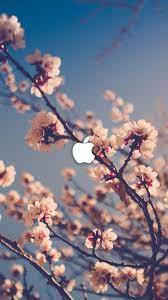 Live Wallpaper Home Screen Iphone 6s Spring Wallpaper Nature Wallpaper Flower Wallpaper
