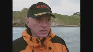 231 Weymouth Dorset Stock Videos, Footage, & 4K Video Clips