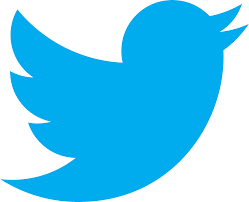 Twitter Tweets To Announce Substantial Changes Duree Company Twitter Logo Famous Logos Bird Logos