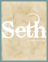 Baby Boy Name Seth Meaning Appointed One Origin Hebrew Http Www Pinterest Com Vintagedaydream Baby Names Hebrew Boy Names Baby Boy Names Baby Names