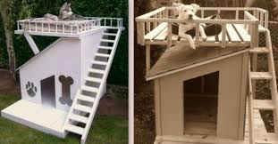 Des Niches Pour Chien Originales Et Insolites Niche Chien Abri Pour Chien Maison D Animaux