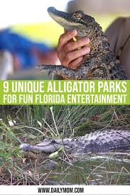 Find & compare the best insurance quotes online from our top providers for your car today! 9 Unique Entertaining Alligator Parks To Visit For Fun In Florida