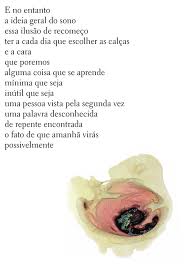 Mestre em literatura pela ufmg, publicou os livros a vida submarina (2009) e da arte das armadilhas (2011). O Livro Das Semelhancas