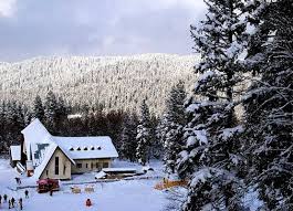 Discover the best of bakuriani so you can plan your trip right. Travel To Georgia Ski Resort Bakuriani Travel In Uzbekistan And Central Asia