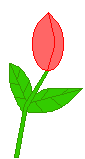 The best gifs are on giphy. Animated Gifs Flowers Roses Plants Trees Landscape Waterfalls