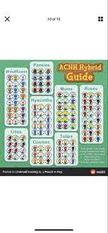Pin By Meaghan Stevens On Animal Crossing Flower Guide Pansies Animal Crossing Game