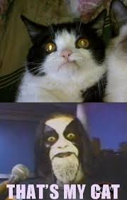 Music Music Fails Wins Music Fails Cheezburger Heavy Metal Music Metal Meme Black Metal