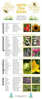 Save The Bees Creating A Bee Friendly Garden Bee Friendly Garden Bees Plants Bee Garden