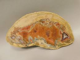 Image result for Colorado Agate 1956 Wayne Works