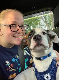 Happy birthday to our halfling, Rufus! He turns 8 and has convinced us to  get a boxer for our next generation of dogs!