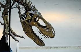 It can be applied to most this fact should always be remembered when using radiocarbon dates. The Real Dino Killer A One Two Punch Scientific American